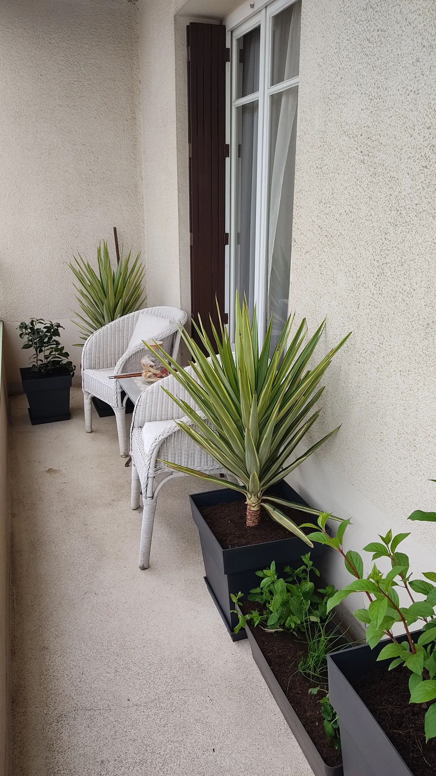 amenagement balcon coach o jardin scaled