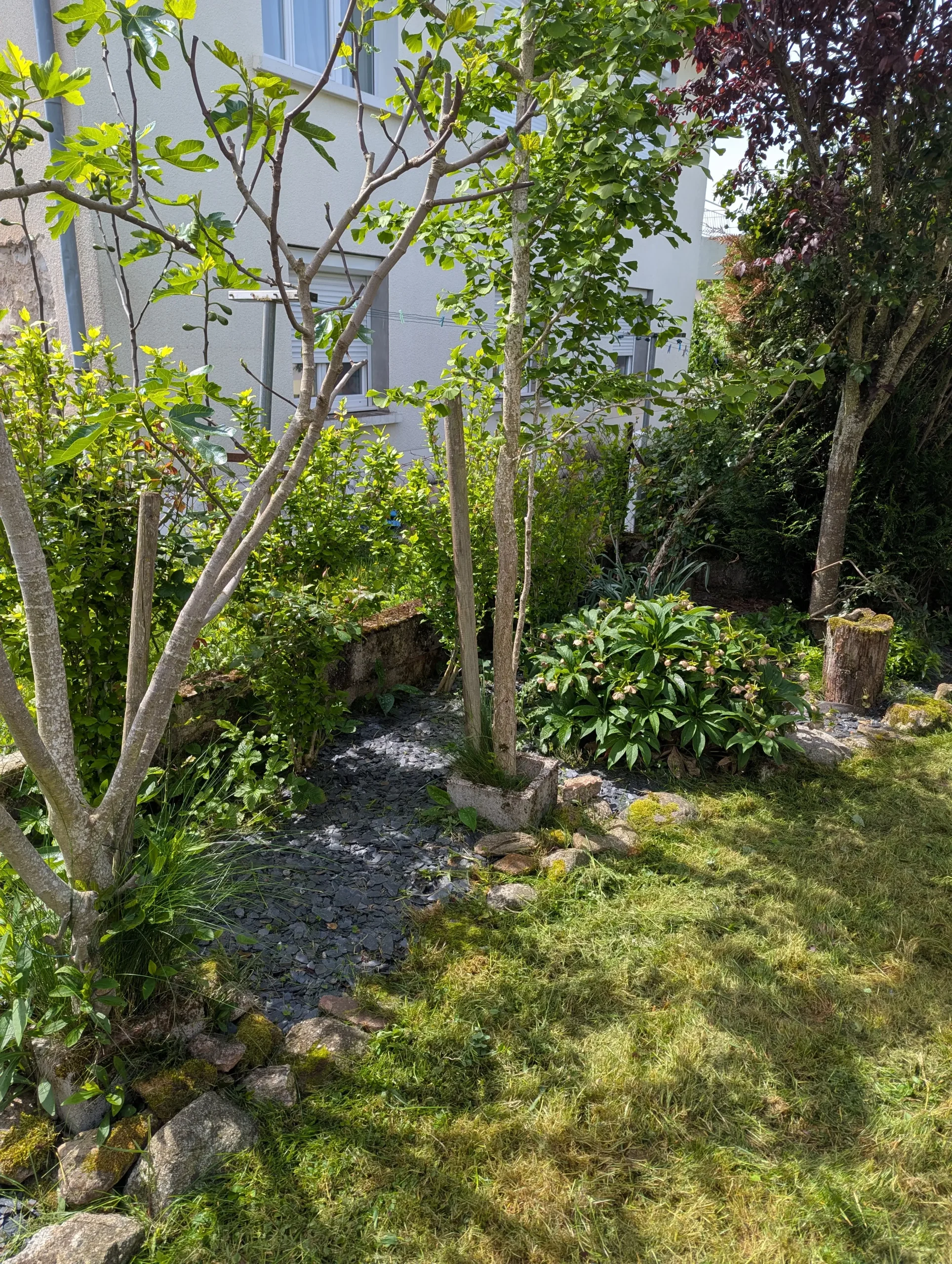Réalisations 2 creation massifs ardoise coach o jardin scaled